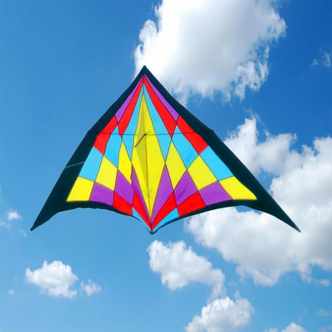 2.8m Giant Grand Delta Kite