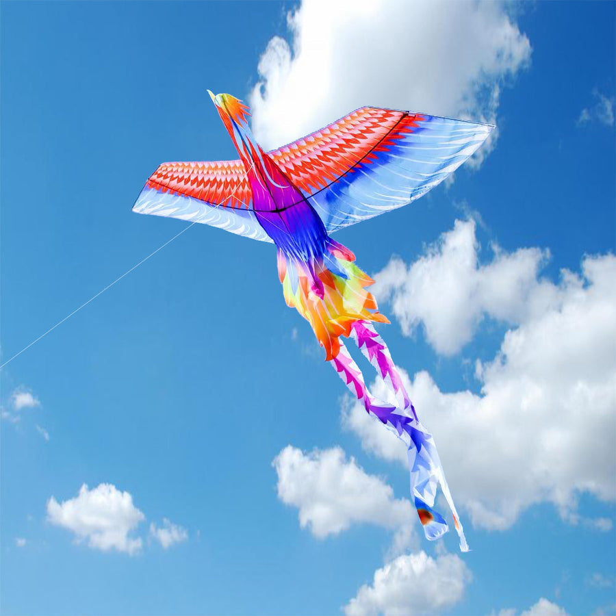Rainbow Phoenix Kite