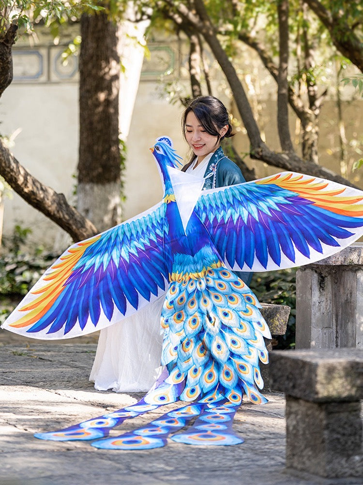 Peacock Kite