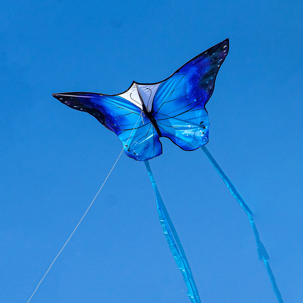 Starlight Butterfly Kite