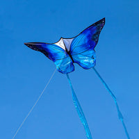 Thumbnail for Starlight Butterfly Kite