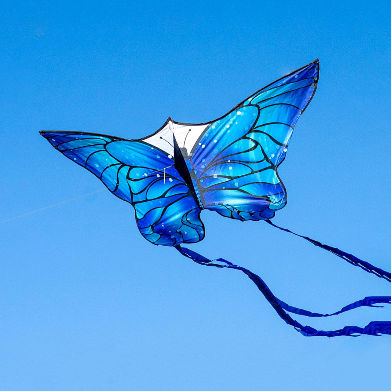Ice Butterfly Kite