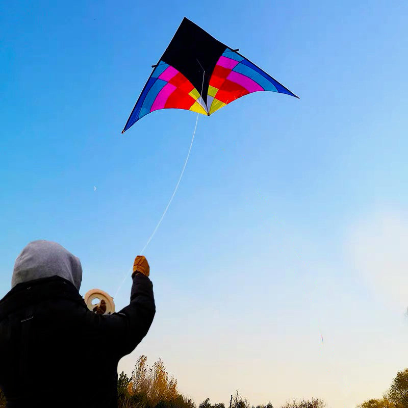 2.8m Giant Black Rider Delta Kite