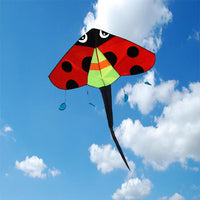 Thumbnail for Ladybird Easy Flyer Kite