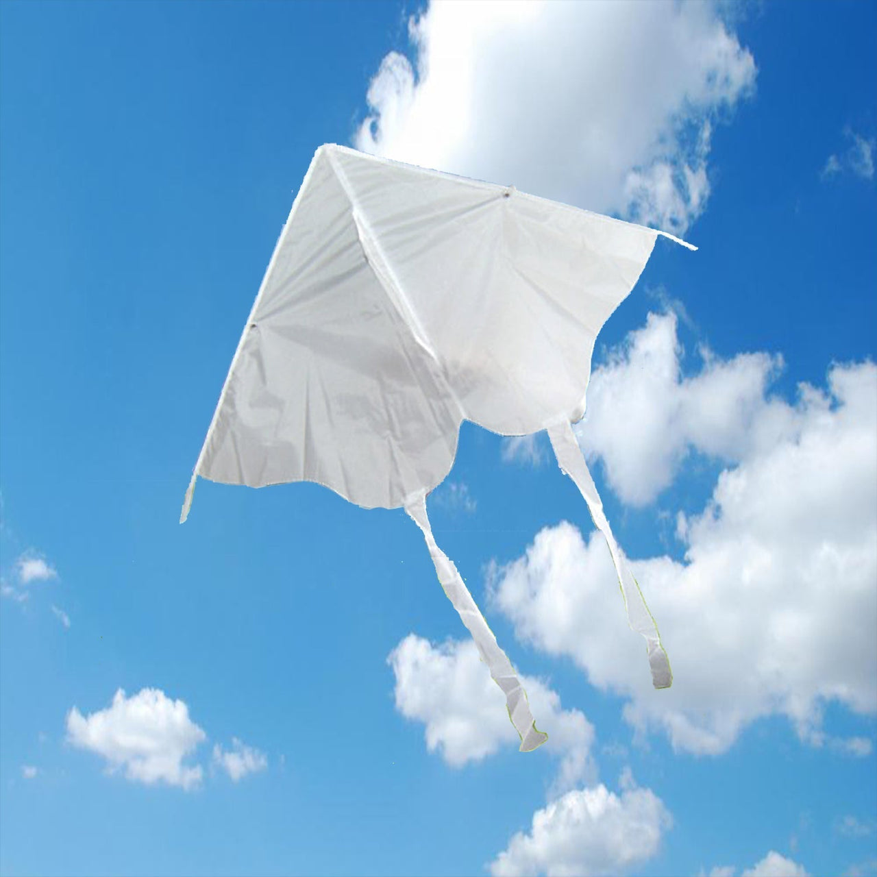 DIY Draw-it-yourself Butterfly Kite