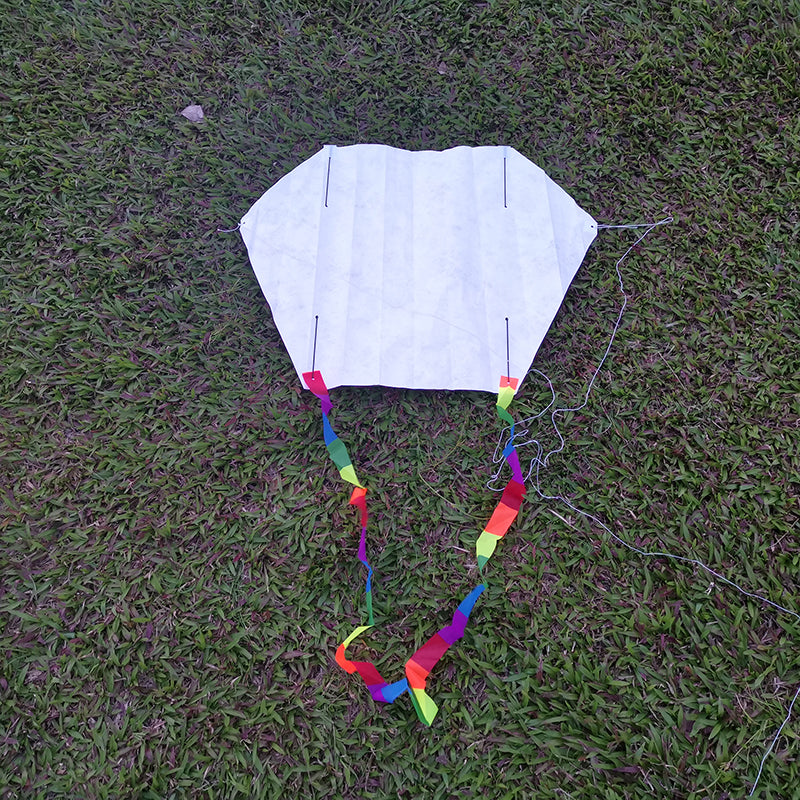 DIY Tyvek Sled Kite Making Kit