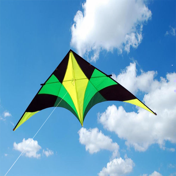 2.8m Giant Hornet Delta Kite