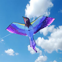 Thumbnail for Magpie Kite