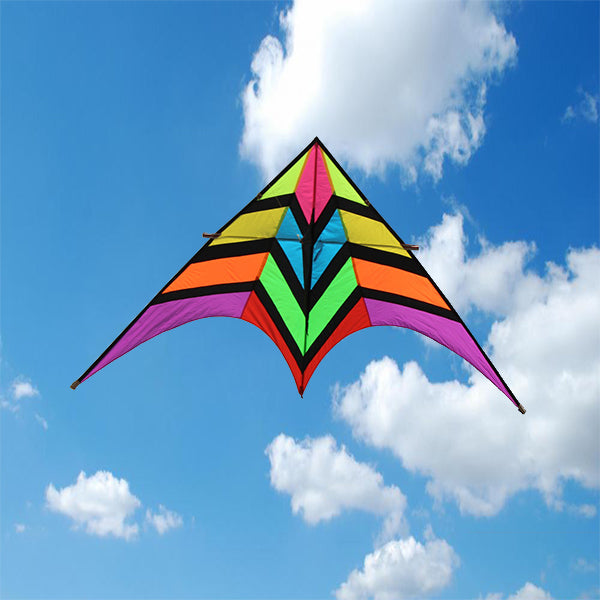 2.8m Giant Rainbow Fighter Delta Kite