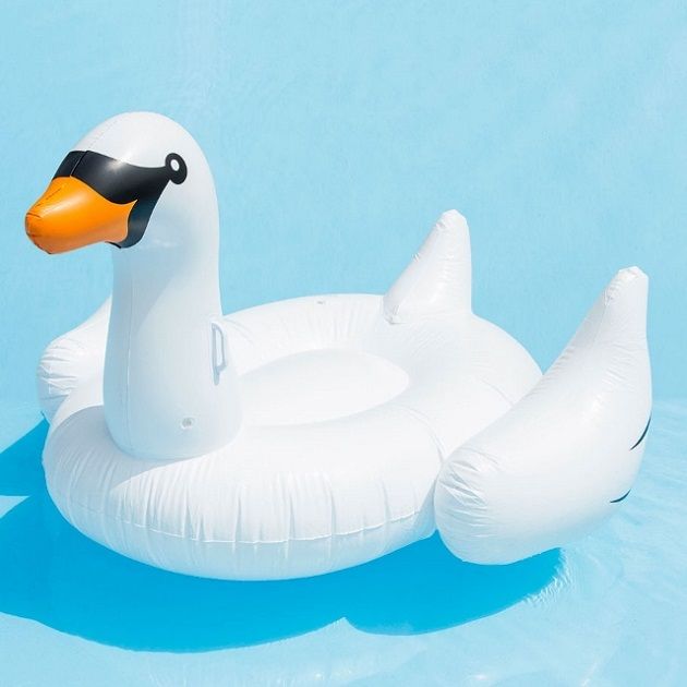 Giant Swan Float