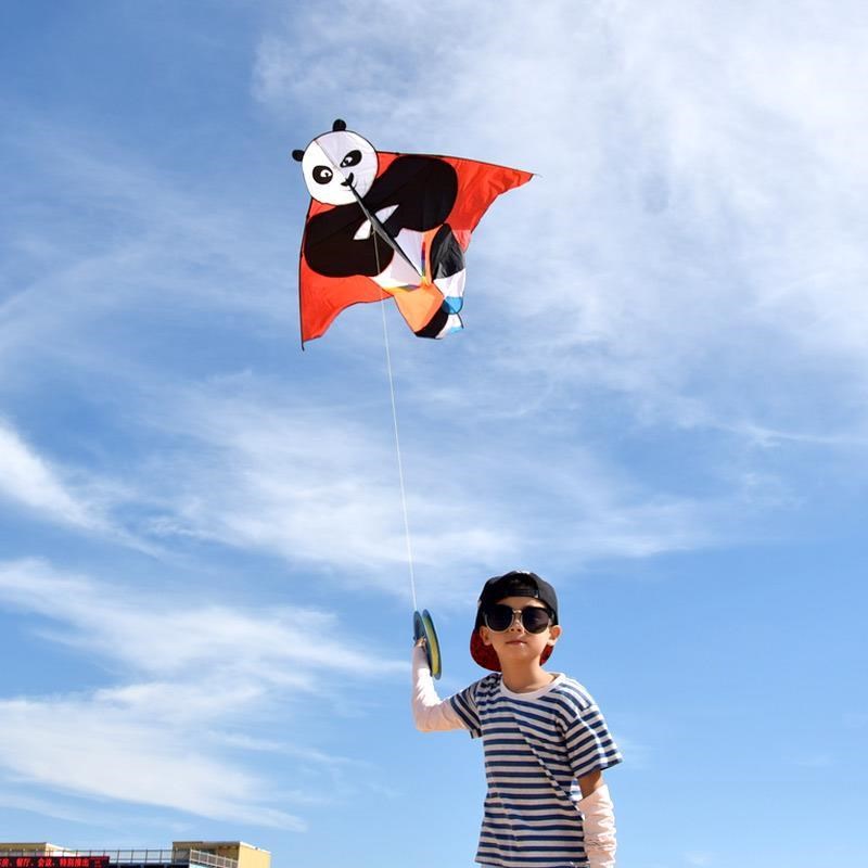 Kung Fu Panda Kite